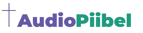 AudioPiibel - logo